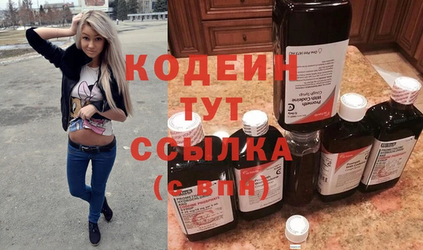 PSILOCYBIN Вяземский