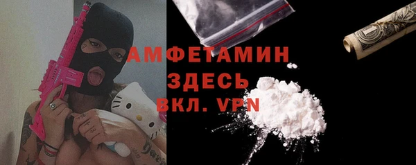 PSILOCYBIN Вяземский