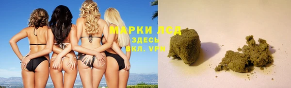 PSILOCYBIN Вяземский