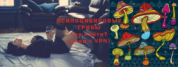 PSILOCYBIN Вяземский
