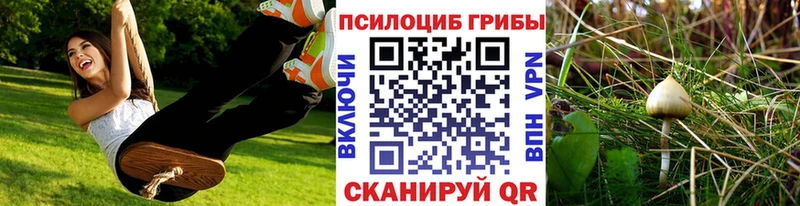 Псилоцибиновые грибы мухоморы  Чебаркуль 